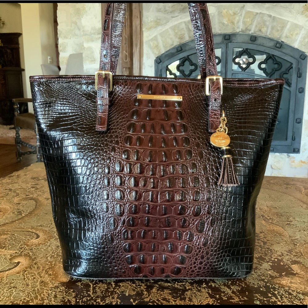 Brahmin Asher - Cocoa